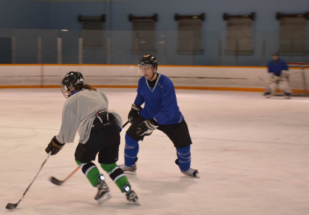 Edmonton Hockey