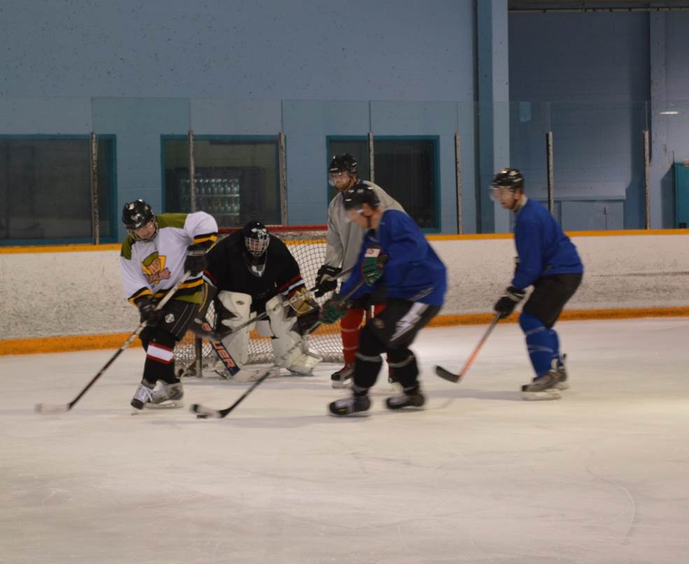 Edmonton hockey